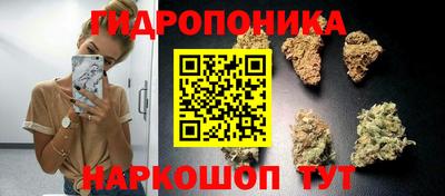 ECSTASY Гусь-Хрустальный