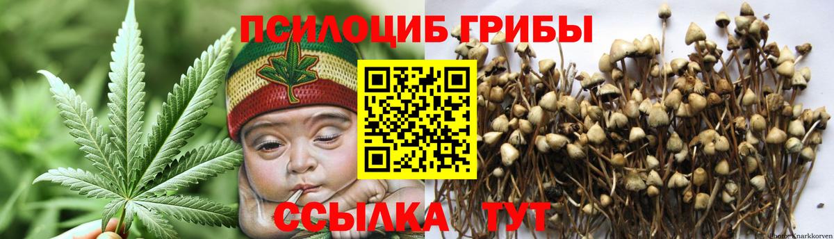 Дедовск  Псилоцибиновые грибы Magic Shrooms  купить наркоту  Вход с VPN  Псилоцибиновые грибы MAGIC MUSHROOMS 