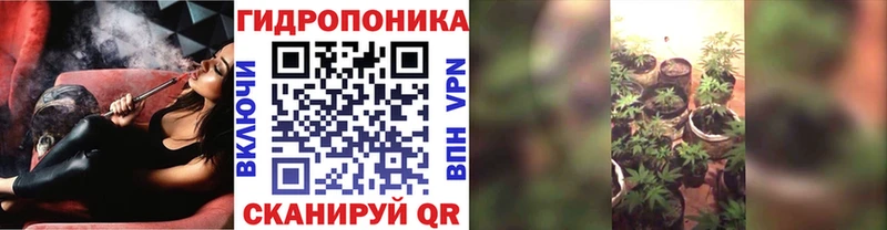 Каннабис Ganja гидра Дедовск